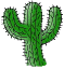 kaktuss